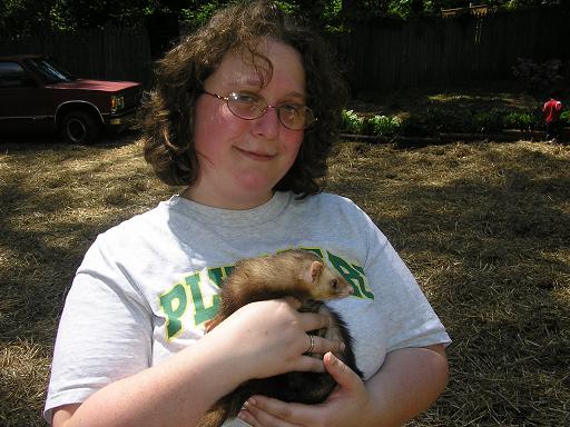 A ferret